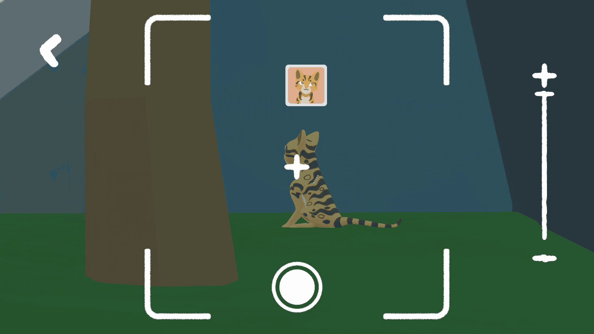 Player taking a picture of a cat