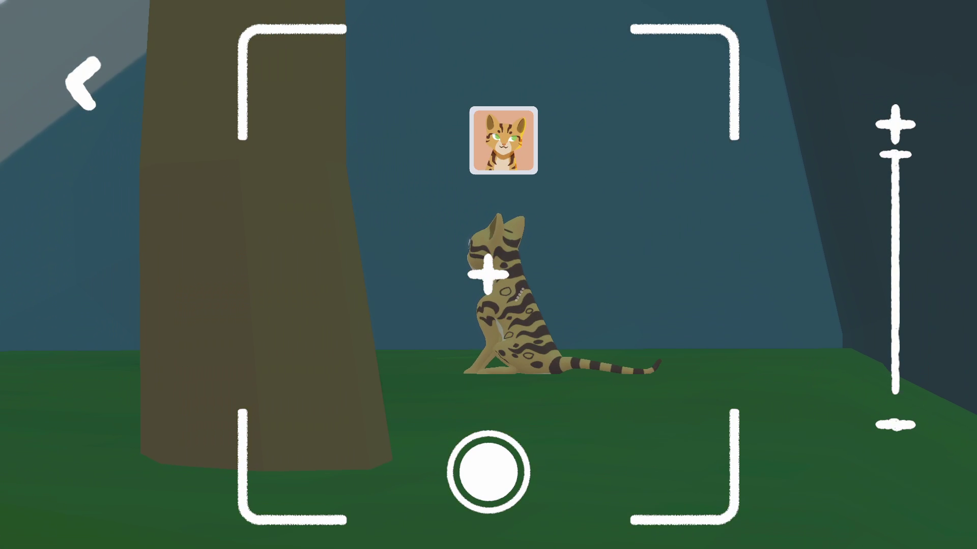 Player taking a picture of a cat