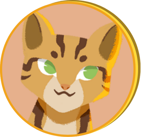 Henrique Martins - Desenvolvedor